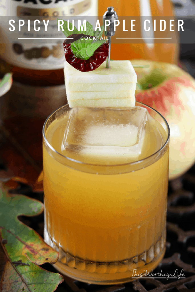 We created an elegant Halloween cocktail for you to make this year. Get this Halloween cocktail recipe on the blog- How to make a Spicy Rum Apple Cider