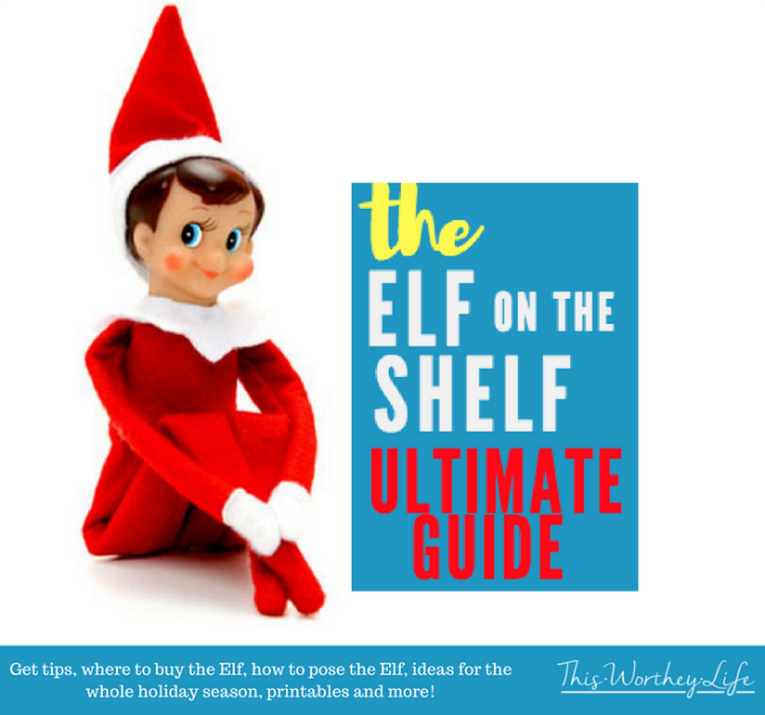18 Elf on the Shelf Ideas (An Elf-Sized Photo Shoot)