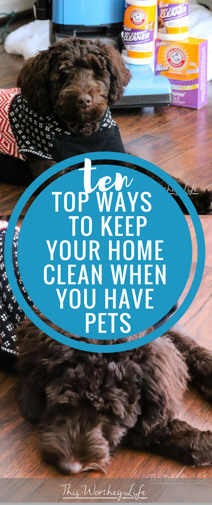 10 Top Ways To Keep Your Home Clean When You Have Pets. The holidays are here, and I'm sharing things I do to make sure my house is clean and ready to go. When you have pets, you may need to go the extra mile. Here's how I avoid doing a lot backbreaking cleaning before the holidays.