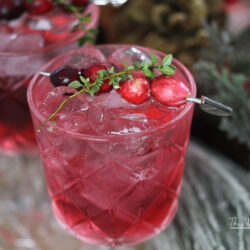 Celebrate the holiday with this fun holiday mocktail drink idea. It's filled with cranberries, sparkling juice and mint mixed all together to make a Cranberry Spritzer.