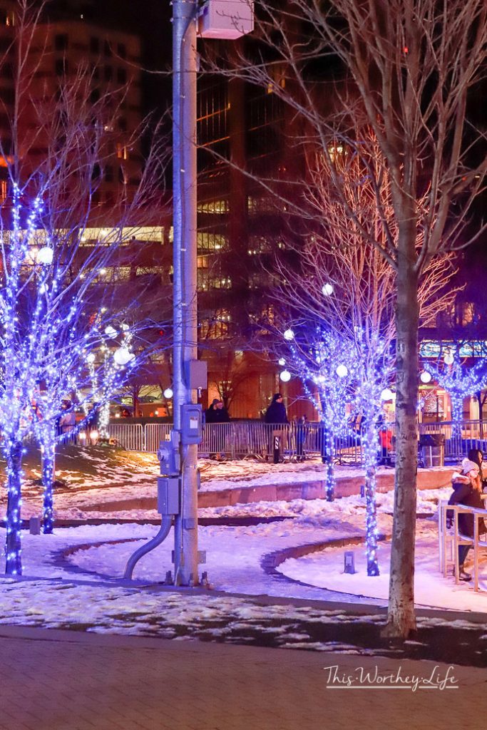 Things To Do in Grand Rapids In The Winter