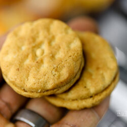 How to make Peanut Butter Breakfast Cereal Cookie Shake using Girl Scout Do-si-dos cookies