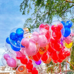 What to do at Disneyland and California Adventure Park in One Day