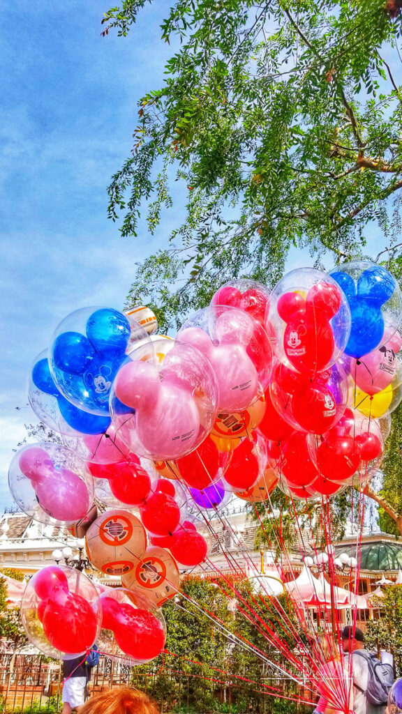 What to do at Disneyland and California Adventure Park in One Day