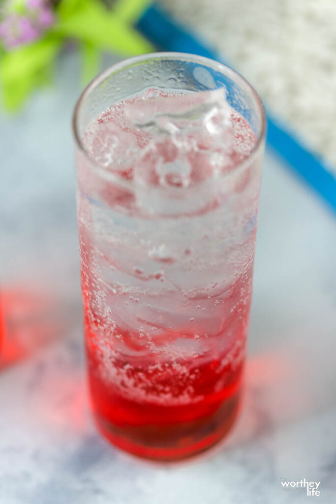 Cranberry Shark Ice Cubes