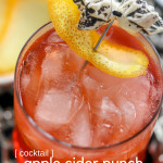 Looking for a good vodka recipe mixed with apple cider? Well, we've got you covered with our Apple Cider Punch Cocktail! This fall cocktail using apple flavored vodka to create a spiked apple cider recipe!