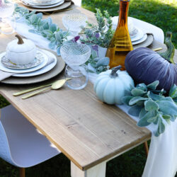Outdoor Fall Harvest Party