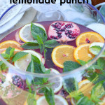 Searching for a really good punch recipe to serve at your upcoming holiday party? We have a delicious soda punch recipe to give a try. Filled with fresh pomegranate, oranges, and lemon-lime soda, this non-alcoholic punch recipe will be the life of the party! 