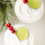 Peppermint everything is always fun to enjoy during the holiday season. And when you add peppermint, tequila, and coconut, you get our Frozen Peppermint Coconut Margarita. Take the edge off this Christmas, we got you