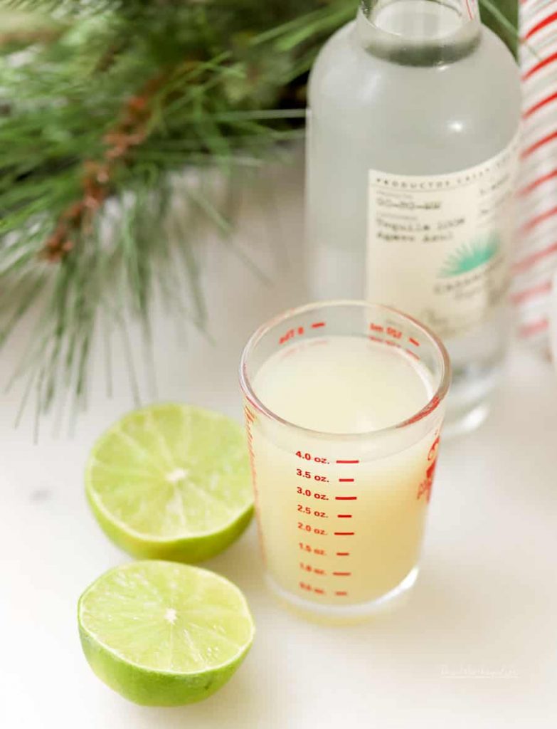 The Best Holiday Margaritas