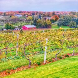 Best Things to do in Traverse City, Michigan