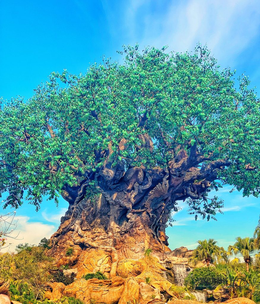 Animal Kingdom Bucket List: 30 Things You Should Do