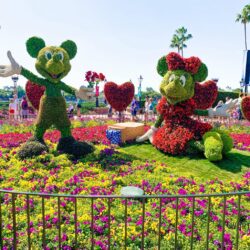 The International Flower and Garden Festival at Epcot is the perfect picture of spring. It's also an event that highlights the beauty of Disney horticulture. I'm sharing 37 things to do while you're there at the Flower & Garden Festival. 