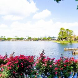 Best things to do at Epcot