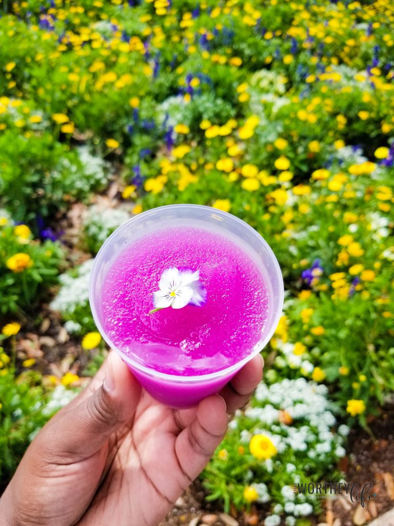 Best food to eat at Epcot's Flower and Garden Festival