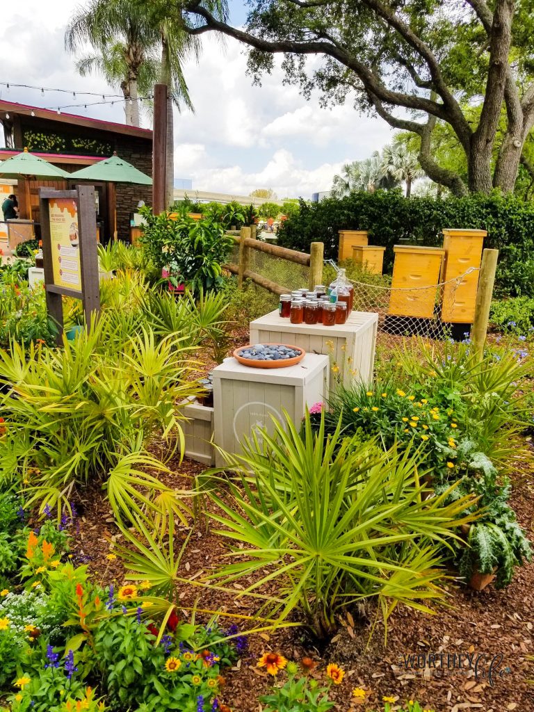 Best food to eat at Epcot's Flower and Garden Festival