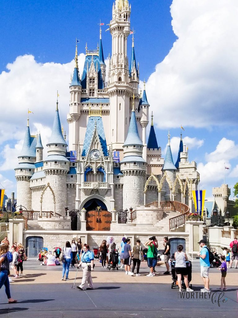 Visiting Magic Kingdom- Cinderella Castle