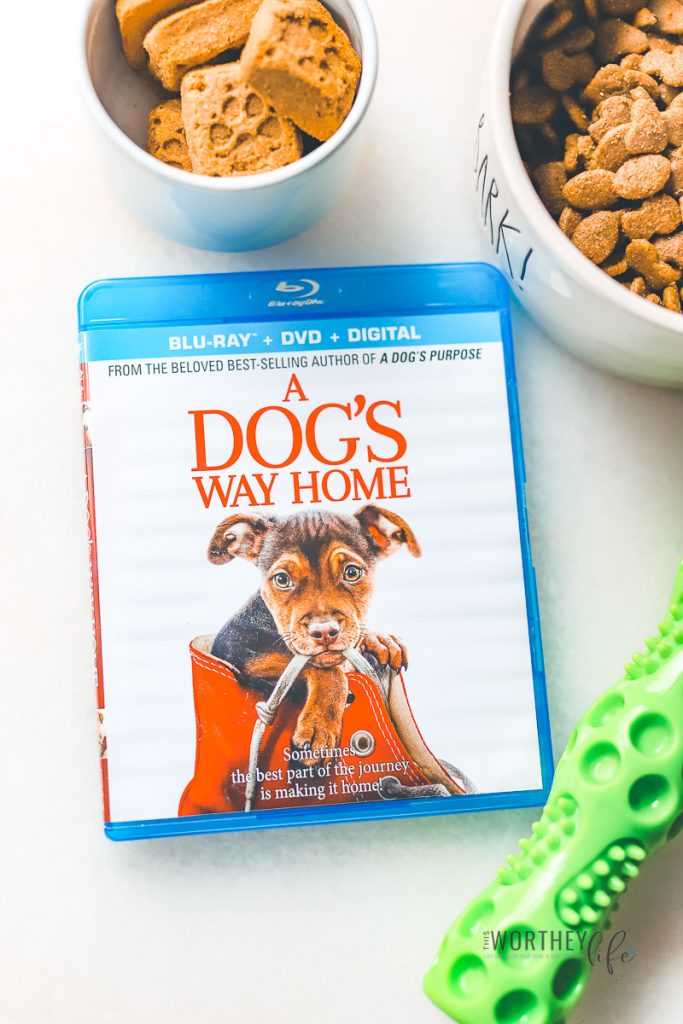 A DOG’S WAY HOME DVD relesae