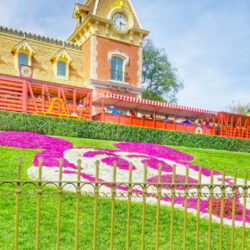 Disneyland Things to Do and Discover: 32 Fun Ideas