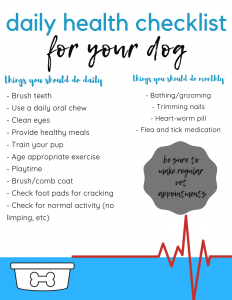 Oral Healthcare 101 for your Dog