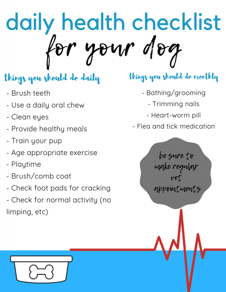 daily health checklist for dogs