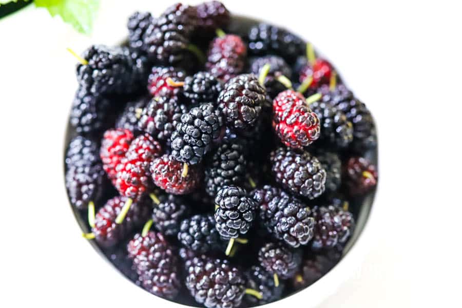 Mulberries in white bowl