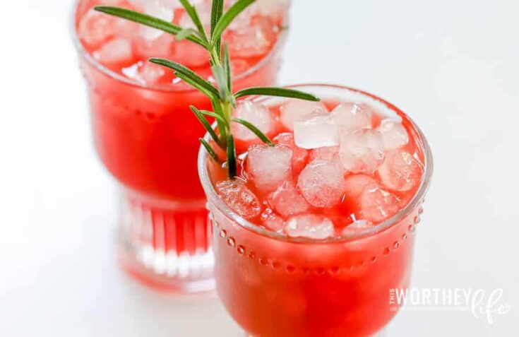 Blood Orange Drink Idea | Capri Holiday Mocktail
