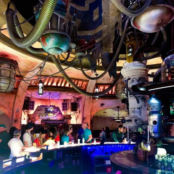 Oga's Cantina is the hotspot of Star Wars Galaxy's Edge. This new land is open in Disneyland and will soon be available to Walt Disney World guests.