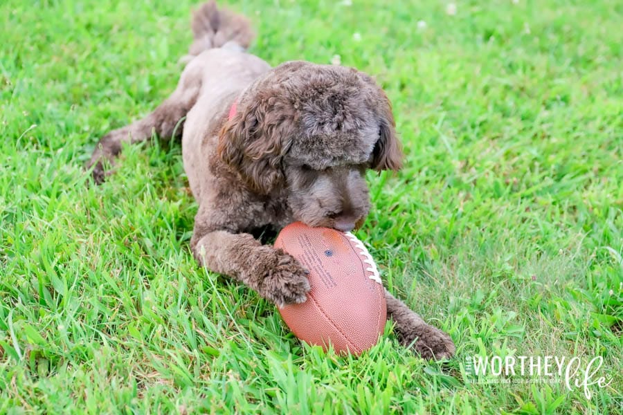 Football Games