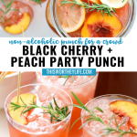 Party Punch recipe ideas