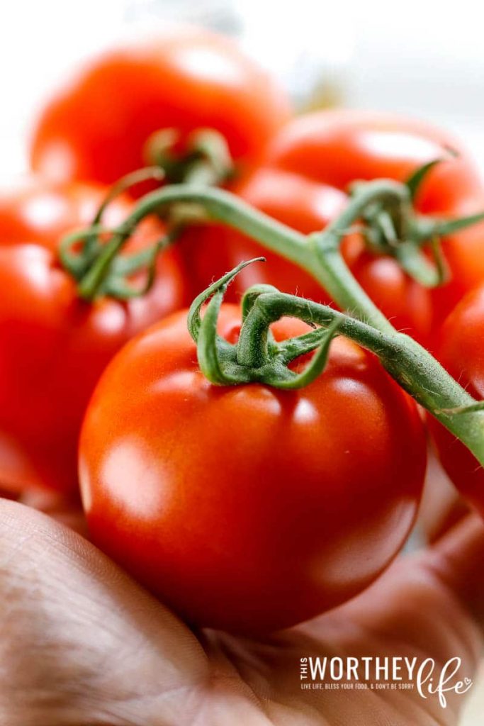 Fresh Tomato Bruschetta Chicken Recipe