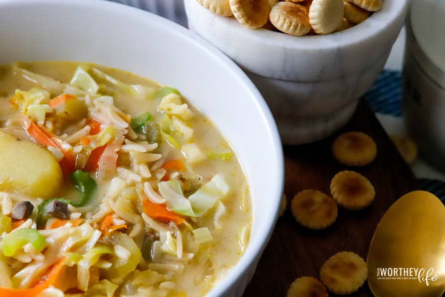 Orzo Vegetable Soup