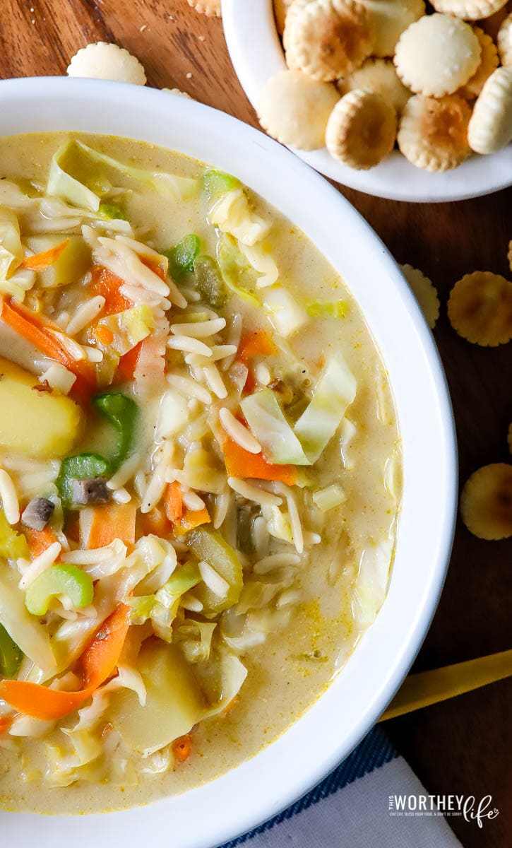 Orzo Vegetable Soup