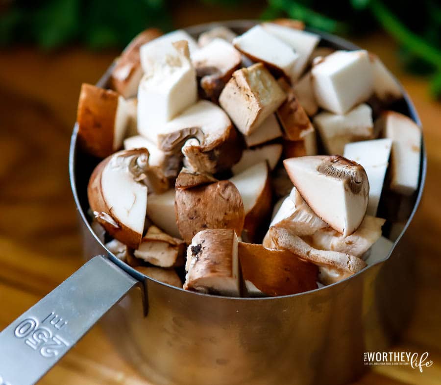 The best mushrooms for making stuffing