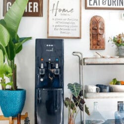 Primo Water Dispenser Review