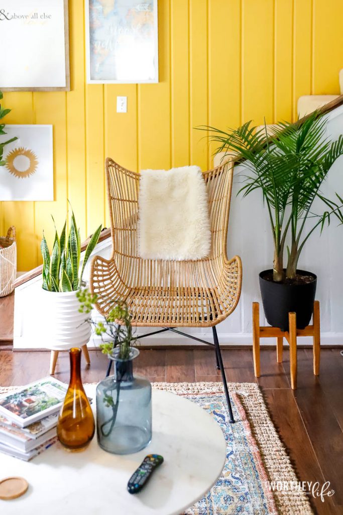 Houseplants are everywhere, and it adds a bit of green jungle love to spaces to help spruce up living rooms, kitchen, bathrooms, and bedrooms.