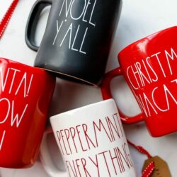 DIY How to make an Inspired Rea Dunn Mug Ideas