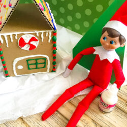 Elf Builds A Gingerbread House