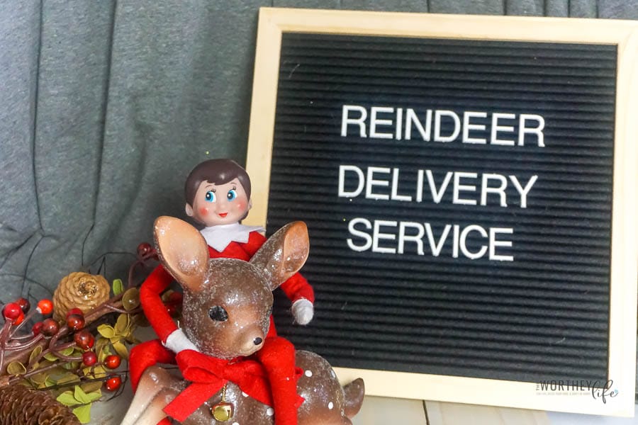 Elf Reindeer Delivery Service