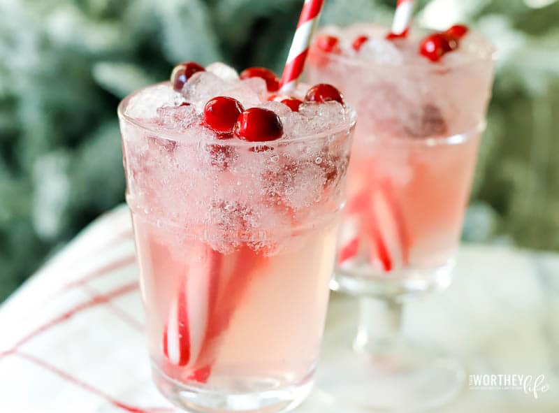 Peppermint Drink For Kids + Adults