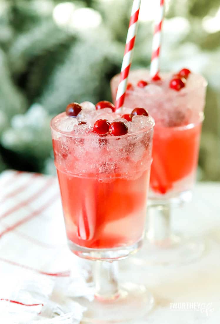 Peppermint Drink For Kids + Adults