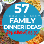 50+ Dinner Ideas For Your Family