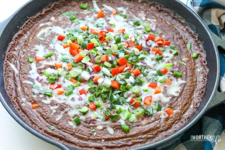 Black Bean Salsa Dip