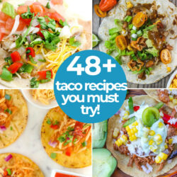 best taco recipe roundup