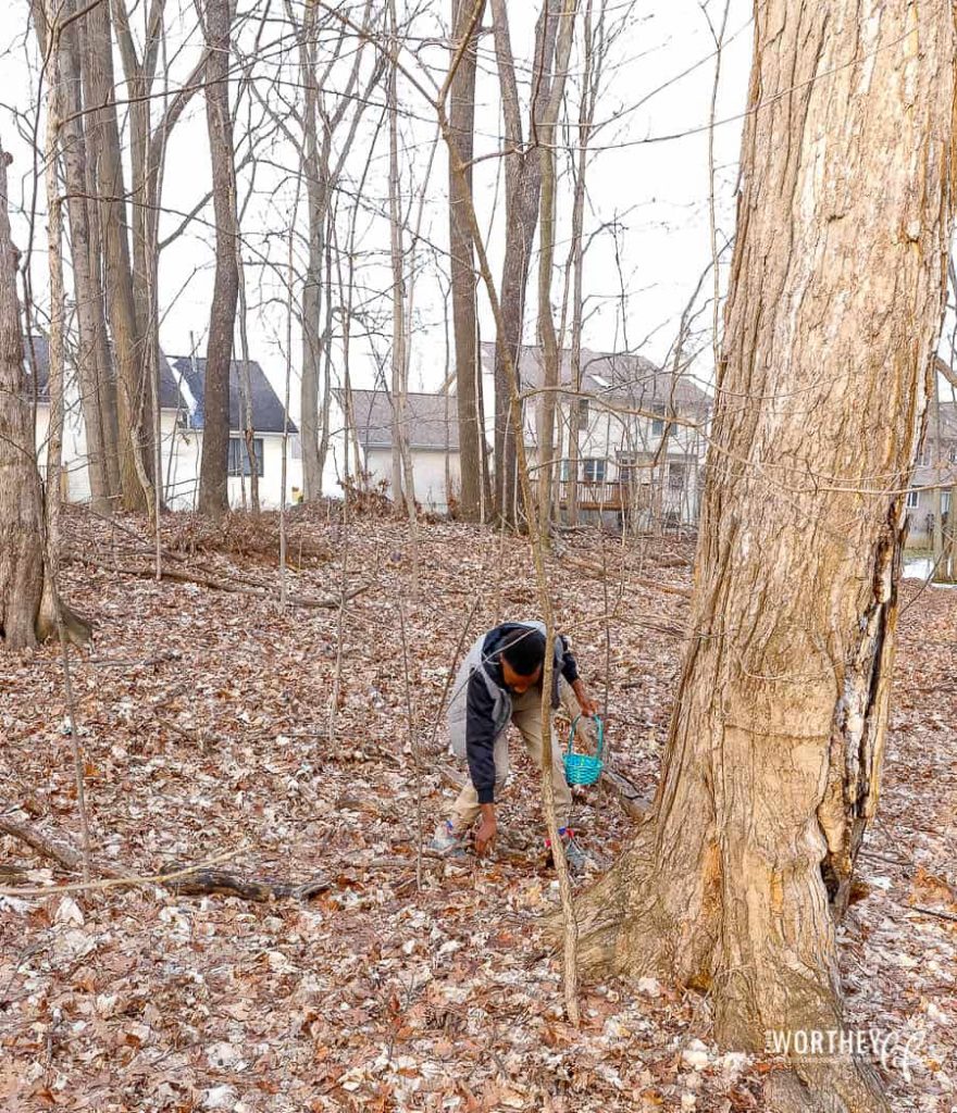 Easter Egg Hunt For Teens