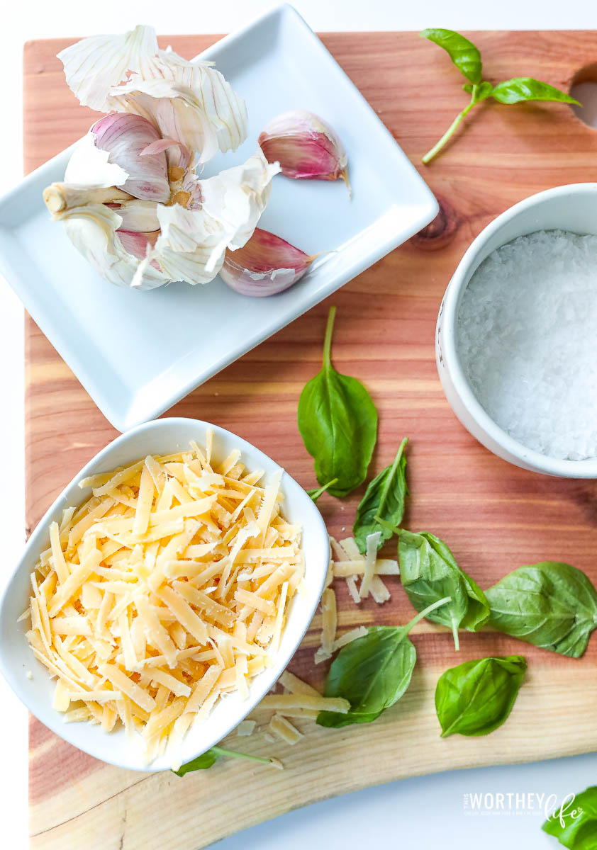 Ingredients for Italian cooking