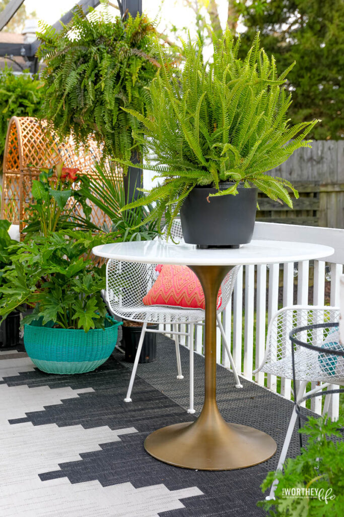 Here are the plants we're loving for outdoor living