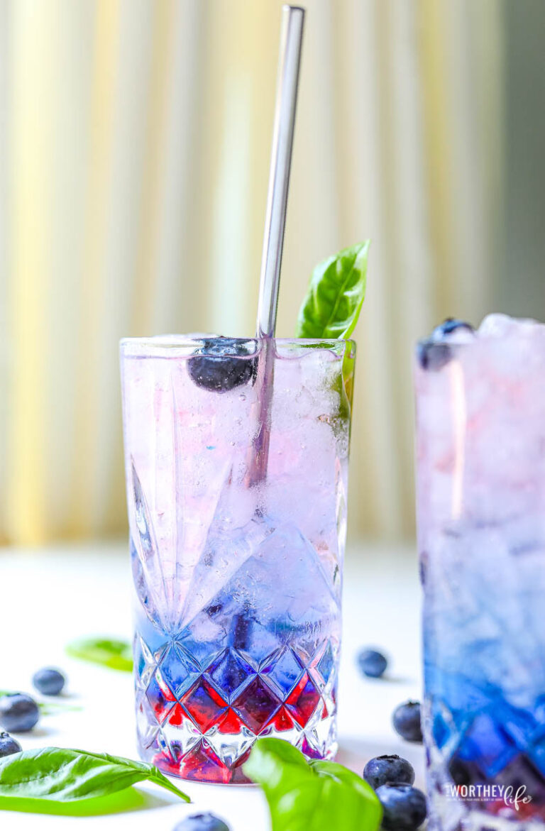 Red Blueberry Vodka Cocktail