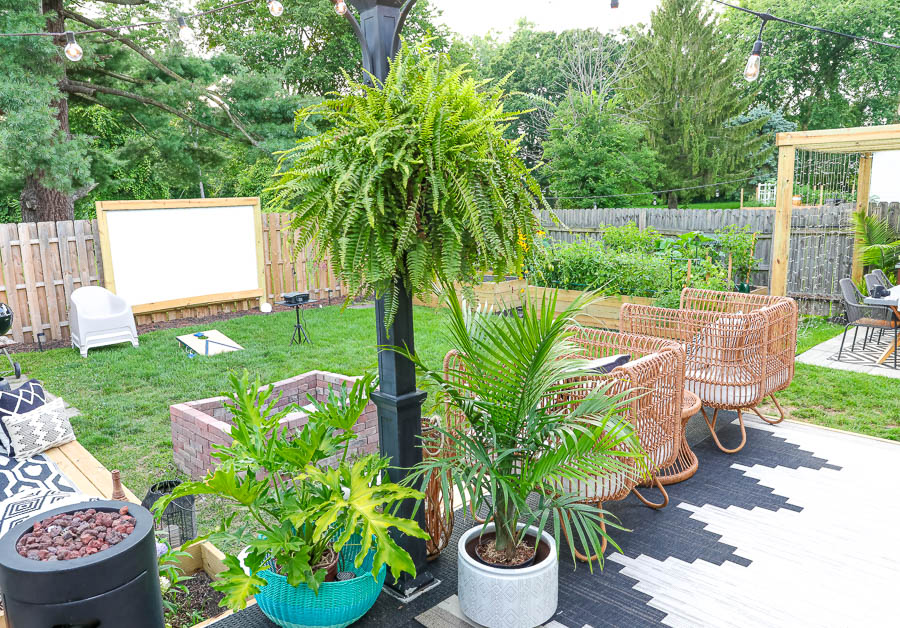 best plants for outdoor living