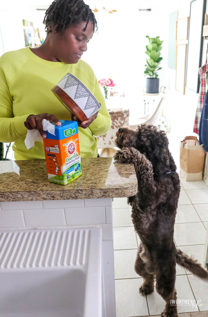 cleaning products that are safe for pets